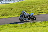 Middle Group Silver_Grey Bikes